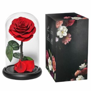 Παντοτινό Τριαντάφυλλο σε Γυάλα 22x14cm Homie 423030