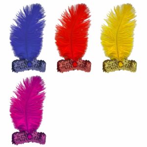 Κορδέλα με Φτερό-Πετράδι 22x15cm Carnavalista 23815