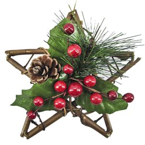 Άστρο Διακοσμητικό Μικρό 15cm Xmasfest 1131756 - Image 3