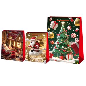 Τσάντα Δώρου Χριστουγέννων 23x17x8cm Xmasfest 1131828 (12ΤΜΧ)