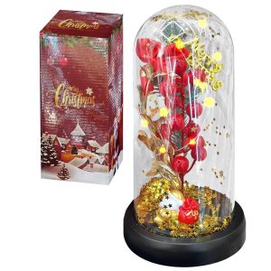 Γυάλα με Φως, Κλαδί Γκι, Άγιο Βασίλη 22x11cm Xmasfest 1133971