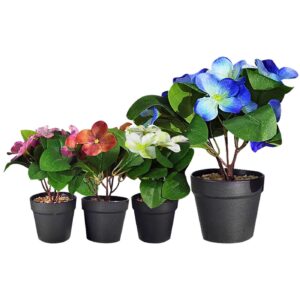 Γλαστράκι Μαύρο Πλαστικό με Χώμα & Λουλούδι Ανοιχτά Φύλλα 22x8cm Homie 423036 (12ΤΜΧ)