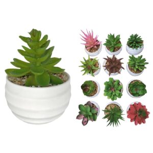 Γλαστράκι Πλαστικό Οβάλ με Φυτό 10x7cm Homie 423044 (12ΤΜΧ) - Image 1