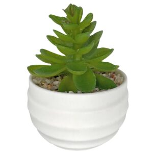 Γλαστράκι Πλαστικό Οβάλ με Φυτό 10x7cm Homie 423044 (12ΤΜΧ) - Image 2