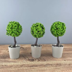 Γλαστράκι με Δεντράκι 18x8cm Homie 423051 - Image 1