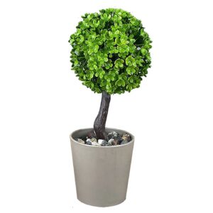 Γλαστράκι με Δεντράκι 18x8cm Homie 423051 - Image 2