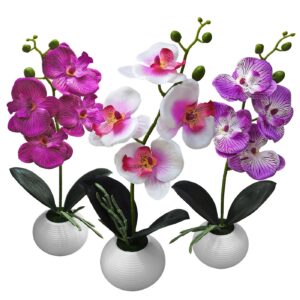 Γλαστράκι Στρογγυλό με Τουλίπες 27x8cm Homie 423037 (12ΤΜΧ)